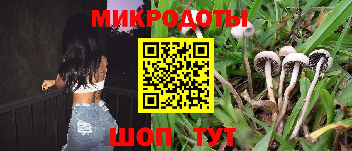 продажа наркотиков  Галлюциногенные грибы мицелий  Вход с VPN  Борзя 